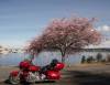 Click photos for full size views