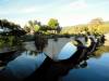 Click photos for full size views